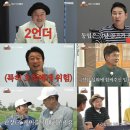 강림 티브이데일리