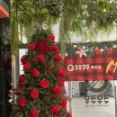 쿠우쿠우목포점 | 목포 초밥 맛집 쿠우쿠우 목포점 주말 런치 후기