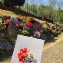 큰나무요양병원 이미지