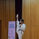 금빛 호랑이 태권도 이미지