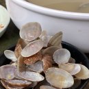 황도바지락칼국수 | 🌿 일산 애니골 황도바지락칼국수 찐 후기🌟