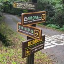 [여행] 제주 한 달 살이 (6. 비 내리는 제주, feat. 국립 서귀포 자연휴양림)
