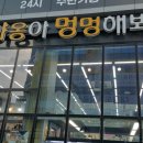 야옹아멍멍해봐 - 북구 화명대로 20 | 야옹아멍멍해봐