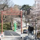 용안면행정복지센터 | 익산 용안향교 둘러보기