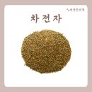 허종한의원 네이버블로그
