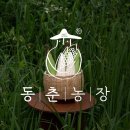 동춘농장 이미지