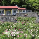 대항펜션 이미지