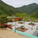 솔향가득서울캠핑장 이미지