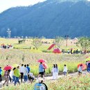 산소카폐 청송정원 (2) 이미지