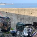 감포거마장 화장실 이미지