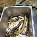 구름사이 이미지