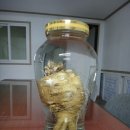 덕이로 Daum카페