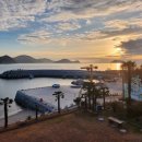 야자수펜션 스파오션뷰 이미지