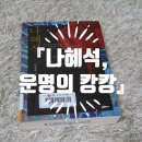 초이독 | [책소개] 『나혜석, 운명의 캉캉』 - 박정윤 장편소설