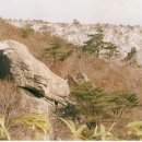 화실숲 이미지