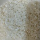 장성군농협조합공동사업법인 이미지