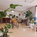 양지할머니 이미지