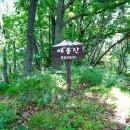 유촌교 Daum카페
