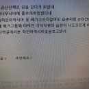 이까시아꽃을보고와서 이미지