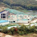연세복사 이미지