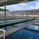 청주약품 이미지