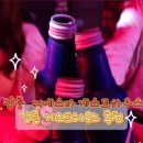 강릉 씨에스타 게스트하우스 경포본점 이미지