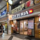 이든농장 | 도쿄 혼자 여행 코스 2주 후기 (도쿄 여행지 총정리 + 경험담)