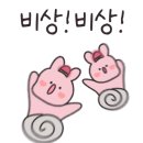 피피비피 이미지