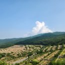 삼덕공원 이미지