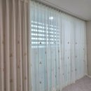 금산느티나무 이미지