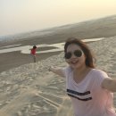 카타르 사막투어/사파리투어 후기 - 카타르 스톱오버 관광