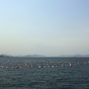 환상의섬 이미지