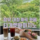 티가렛바이지노 이미지