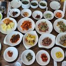 단양공설정구장 이미지