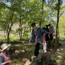 입면초등학교 이미지