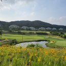 홍천카서비스 이미지