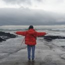 행정사박종일사무소 이미지