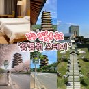 신평동1134 | 경주 숙소 추천｜황룡원 스테이 보문단지 벚꽃시즌 숙박 후기