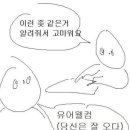 보통식당 이미지