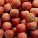 식이상회 이미지