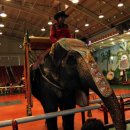 점보빌리지 이미지