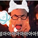 엘엠엔 Daum카페