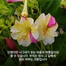 소떼