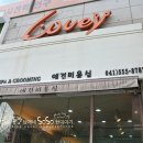 박여진애견미용실 이미지