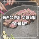 [대구/동구]동촌유원지 우대갈비 숙성삼겹살 아양짚 내돈내산 후기