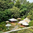 고양대로1730번길 이미지