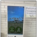 가평 양떼목장 | 가평 양떼목장 카페 방문 후기 (알파카 수국정원 동물원)