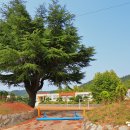 율촌초등학교상봉분교장 이미지