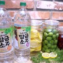 담금 - 포항시 남구 포스코대로 104 | 담금
