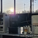 마포해장뼈다귀 이미지